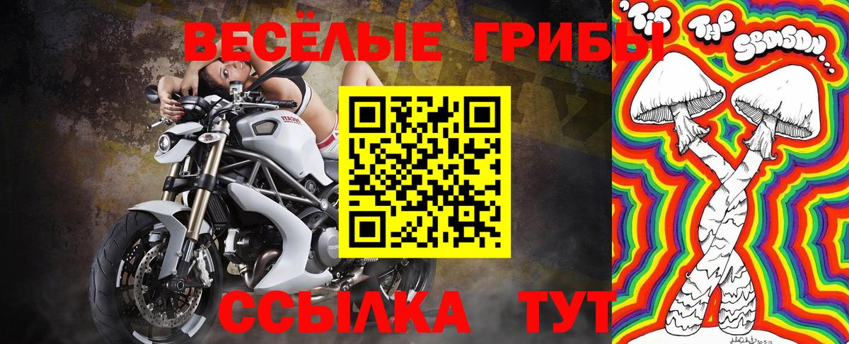 Псилоцибиновые грибы Magic Shrooms Карасук