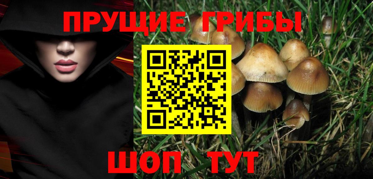 Карасук  Галлюциногенные грибы мухоморы  Вход с VPN 